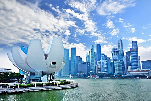 Singapore Work Visa Eligibility