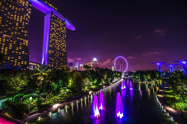 Singapore Work Visa Eligibility