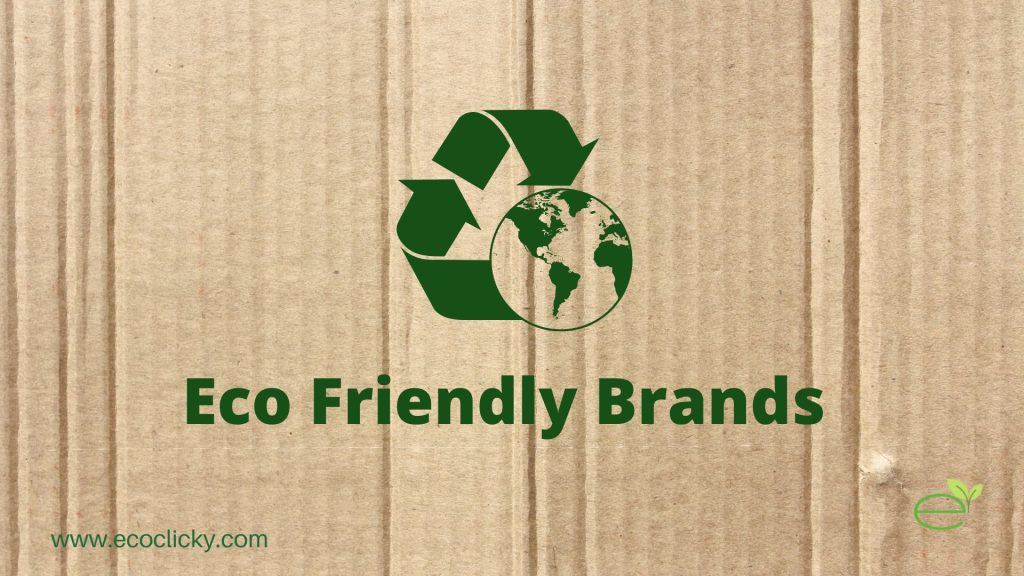 Eco-Friendly Brands