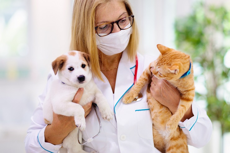 Affordable Pet Insurance USA